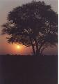 namibia20030119